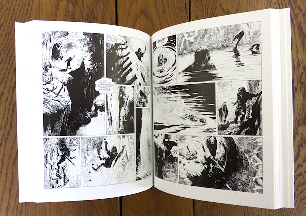 Collection - Niffle - Intégrale Thorgal